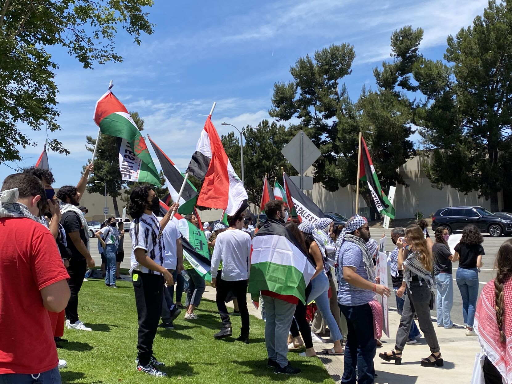 Palestine Protestors